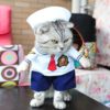 Cat Clothes