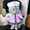 Cat Clothes